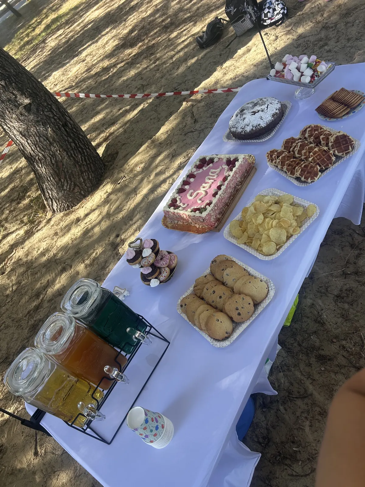 Buffet en plein air sous les pins : gâteau personnalisé, cookies, chips et fontaines de boissons fraîches